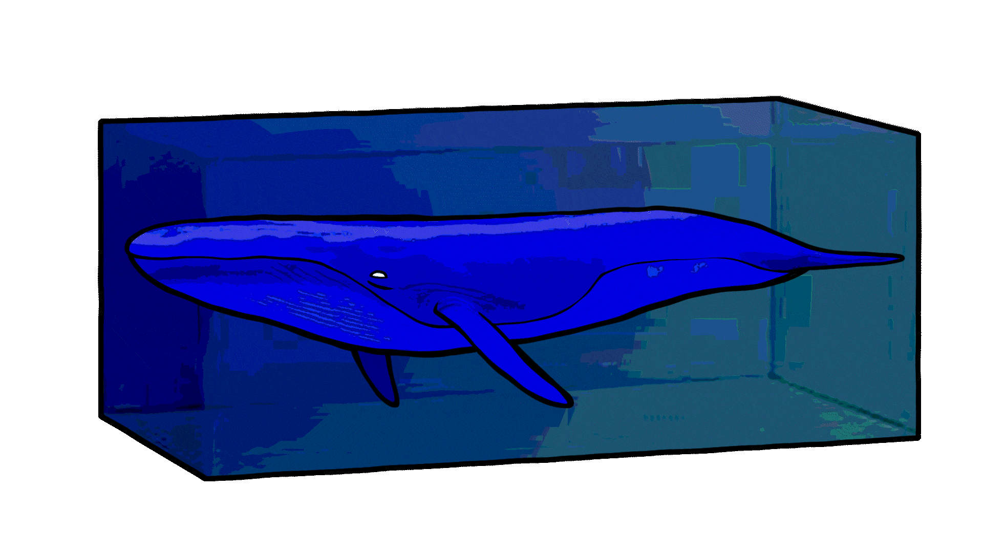 52 Whale Animated GIF depicting a drawing of a whale floating inside a water tank, shivering and blinking slowly. It pushes bubbles out of its blowhole once In a while.